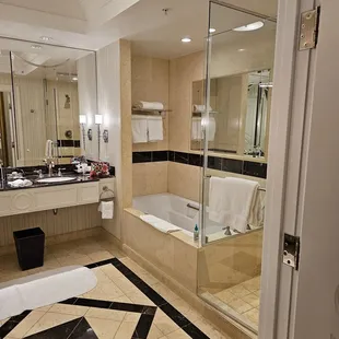 Palazzo suite tub and shower