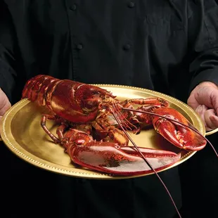 Whole Lobster