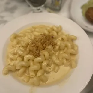 food, pasta, pasta dish