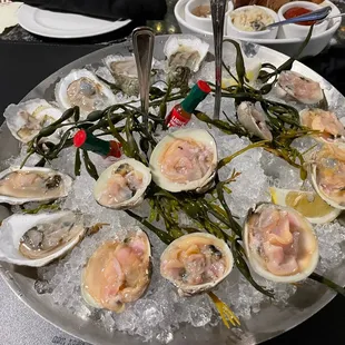 Oysters and clams