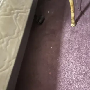 Grody Unvacuumed floor