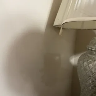 Nasty and dirty lamp shade
