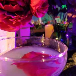 Gin drink