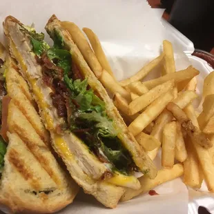 Panini CBR