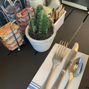 Succulent and napkins! Love!