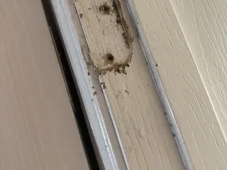 Avery Point Apartments