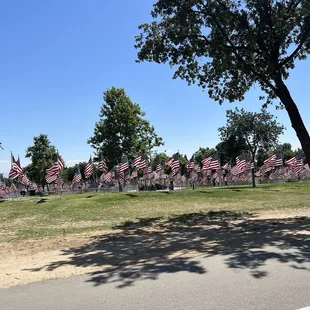 Memorial Day Weekend 2023