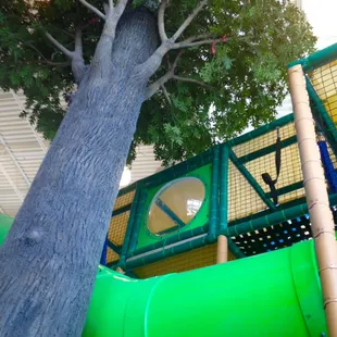 Nice, big, fake tree in the middle of the indoor playground