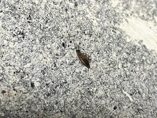 Stonebrook Apartments