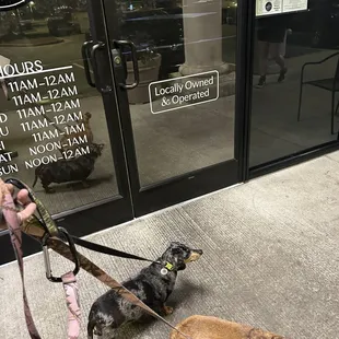 two dogs on leashes outside the door