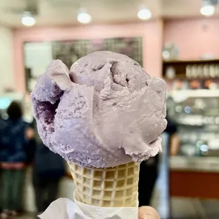 Honey Lavender sugar cone