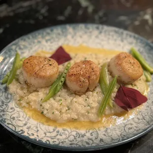 Diver Scallops
