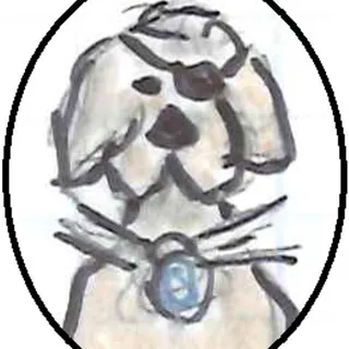 Connie A.