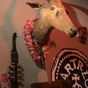 an animal head mounted on a wall