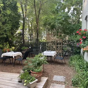 The Pasta Tree Restaurant & Wine Bar