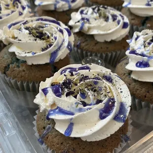 Blueberry Butterfly Cupcakes