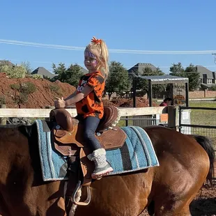 Horse rides that comes with the admission ticket!