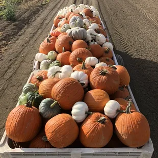 Another load headed to The Patch