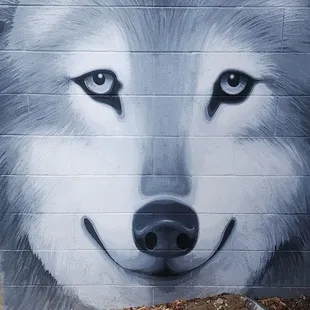 Bring your doggie!!!