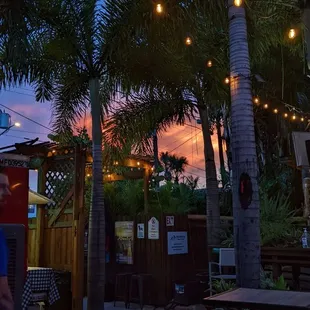 View from one of the bars at sunset