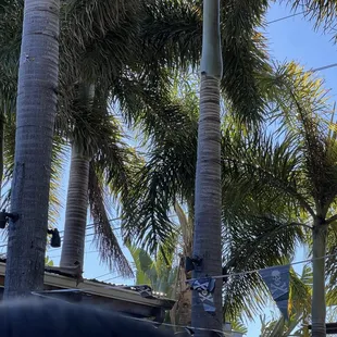 Scenic patio