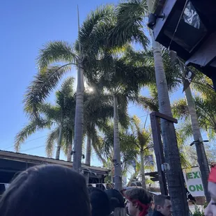 Beautiful day