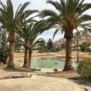 Our 4 acre electrified park is located in beautiful foothills with a 3 level outdoor amphitheater, a raised, powered stage and fountains.