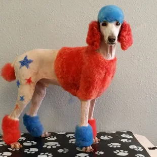 Mr. Pickles 4th of July