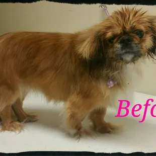 I think it's time for a pedi