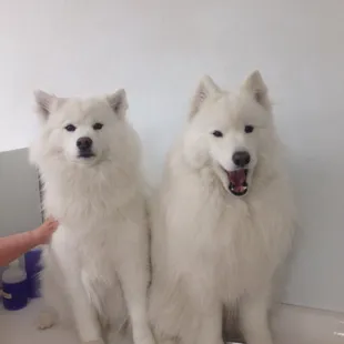 Regular maintenance schedules are available