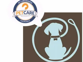 Good Dog Walking Service