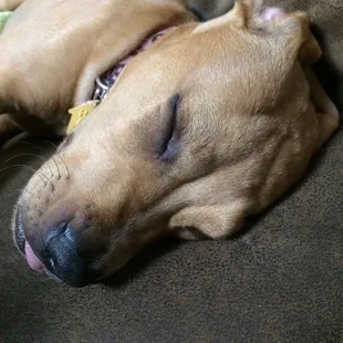 After daycare!