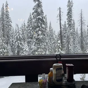The view