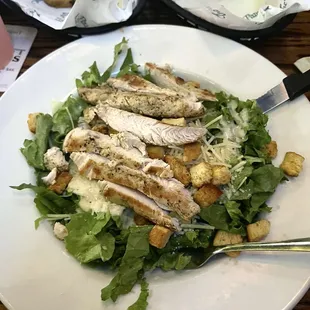 Chicken Caesar Salad