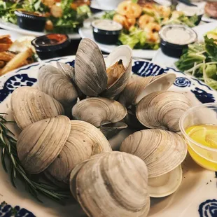 a plate of clams on a table