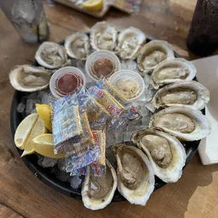 Oysters