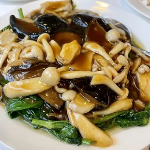 Mushrooms and snow pea leaves