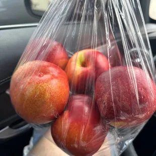 $6 summer nectarines