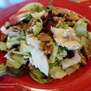 Apple Walnut Salad 07/09/2023