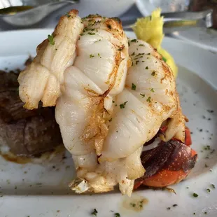Lobster Tails