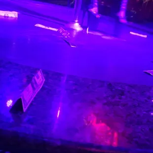 sushi and sashimi, interior