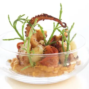 Greek Style Octopus
Santorini Fava, Oven Dried Tomatoes, Hazelnuts, Caper Berries