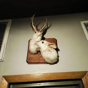 interior, sushi and sashimi