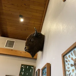 Buffalo decor looking at you while you eat.