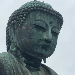 Ed V.