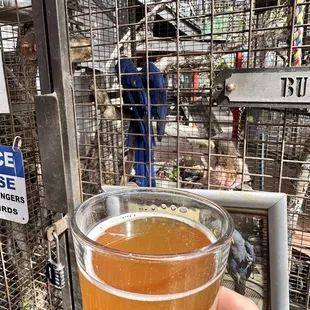 Beer and birds!