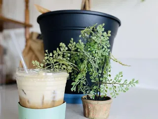 Rabbit & Bean Coffee Bar