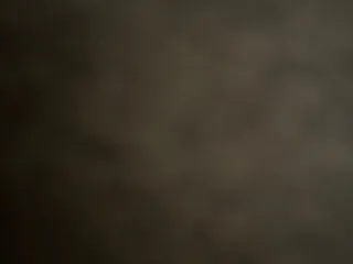 Evy Funnel Cakes & Tacos