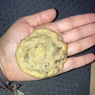 Size of chocolate chip cookie