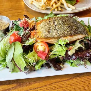 Salmon Salad